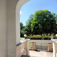 1556_8797052208.jpg