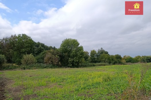 1755_4831027441.jpg