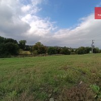 1755_4831060906.jpg