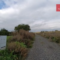 1755_4831939585.jpg
